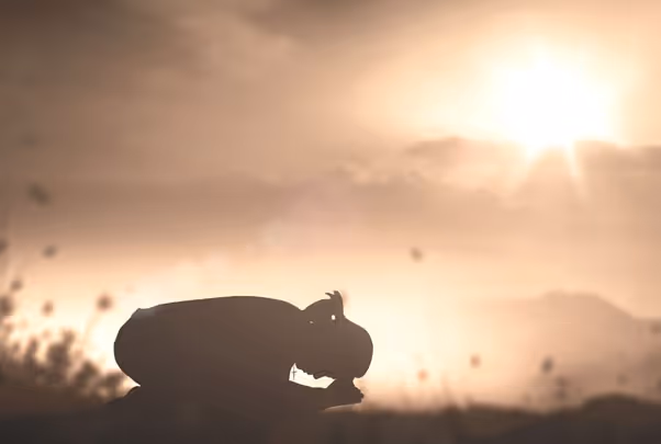 พระเจ้าคือใคร? ทำไมคนจำนวนมากจึงเลือกเชื่อในพระองค์